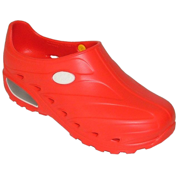 Scarpe Professionali...