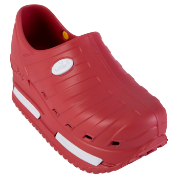 Scarpe Professionali...