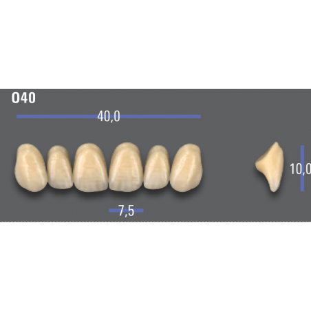 DENTI MFT (VITA®) ANTERIORI 040