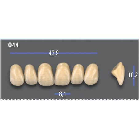 DENTI MFT (VITA®) ANTERIORI 044