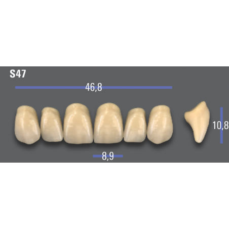 DENTI MFT (VITA®) ANTERIORI S47