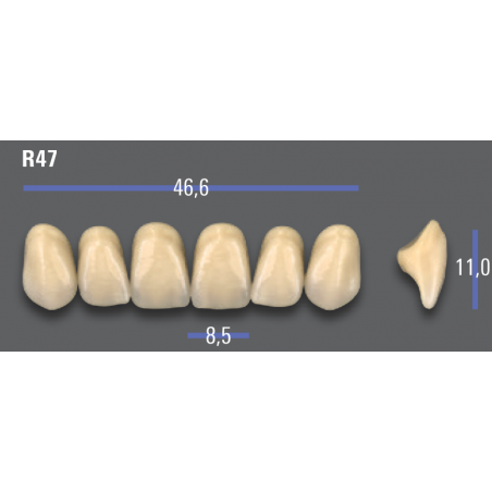 DENTI MFT (VITA®) ANTERIORI R47