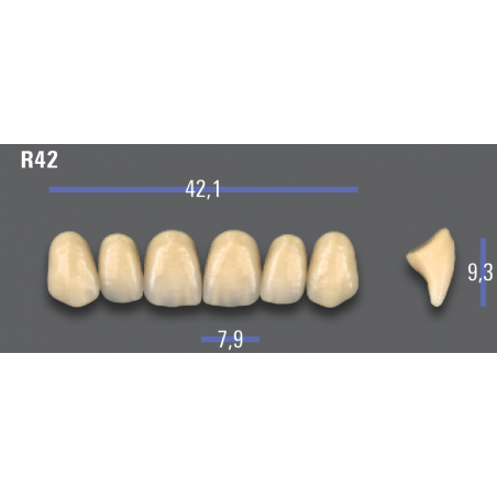 DENTI MFT (VITA®) ANTERIORI R42