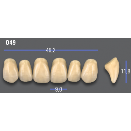 DENTI MFT (VITA®) ANTERIORI 049