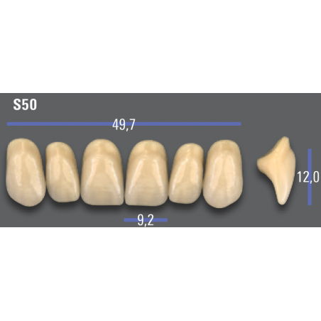 DENTI MFT (VITA®) ANTERIORI S50