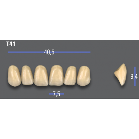 DENTI MFT (VITA®) ANTERIORI T41