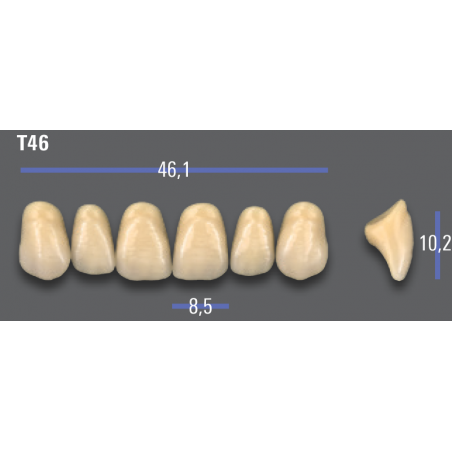 DENTI MFT (VITA®) ANTERIORI T46