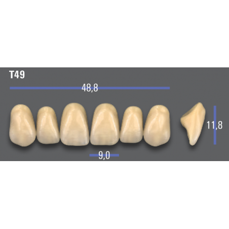 DENTI MFT (VITA®) ANTERIORI T49