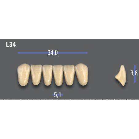 DENTI MFT (VITA®) ANTERIORI L34