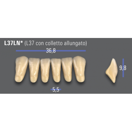 DENTI MFT (VITA®) ANTERIORI L37LN