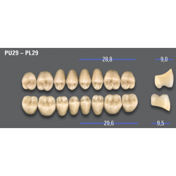 DENTI MFT (VITA®)...