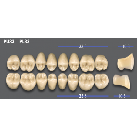 DENTI MFT (VITA®) POSTERIORI PL33