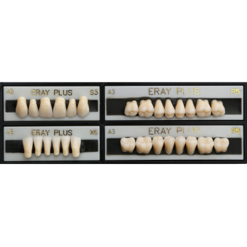 DENTI ERAY PLUS "T4" 3...