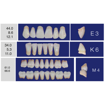 DENTI ERAY DELUXE "E3" 3...