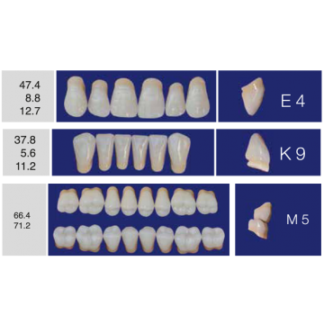 DENTI ERAY DELUXE "E4" 3...