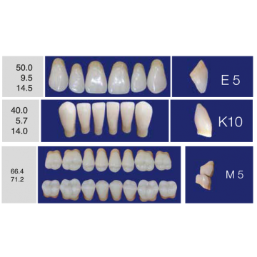 DENTI ERAY DELUXE "E5" 3...