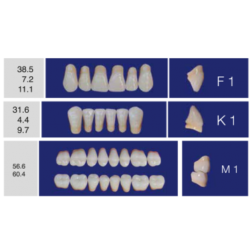 DENTI ERAY DELUXE "F1" 3...