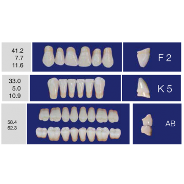 DENTI ERAY DELUXE "F2" 3...