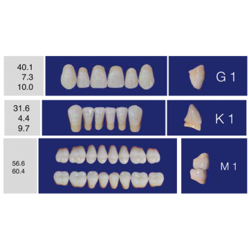 DENTI ERAY DELUXE "G1" 3...