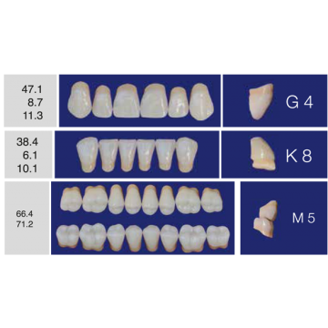 DENTI ERAY DELUXE "G4" 3...