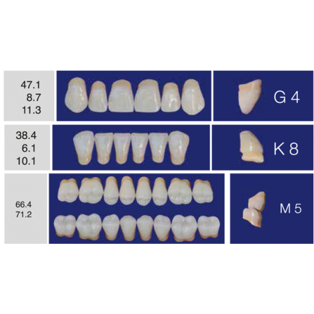 DENTI ERAY DELUXE "G4" 3 STRATI (bocca completa)