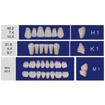 DENTI ERAY DELUXE "H1" 3...