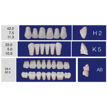 DENTI ERAY DELUXE "H2" 3...