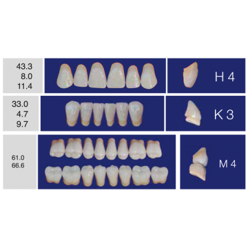 DENTI ERAY DELUXE "H4" 3...