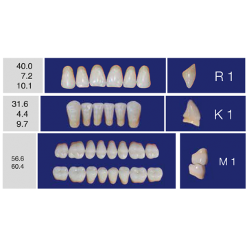 DENTI ERAY DELUXE "R1" 3...