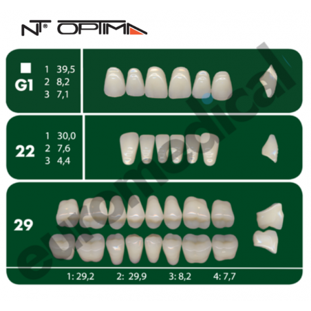 DENTI NT Optima "G1" 3 STRATI (bocca completa)