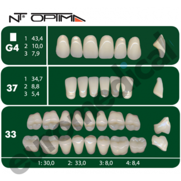 DENTI NT Optima "G4" 3...