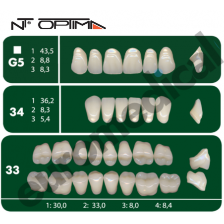 DENTI NT Optima "G5" 3 STRATI (bocca completa)