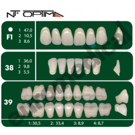 DENTI NT Optima "F1" 3 STRATI (bocca completa)