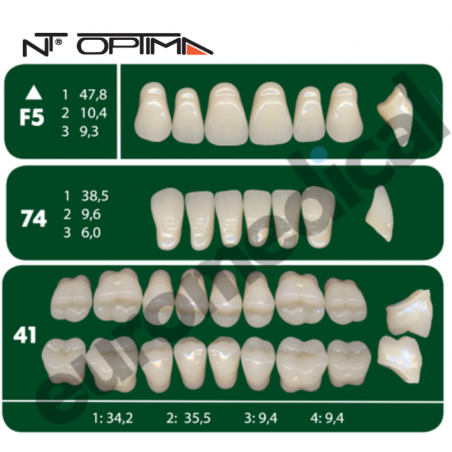 DENTI NT Optima "F5" 3 STRATI (bocca completa)