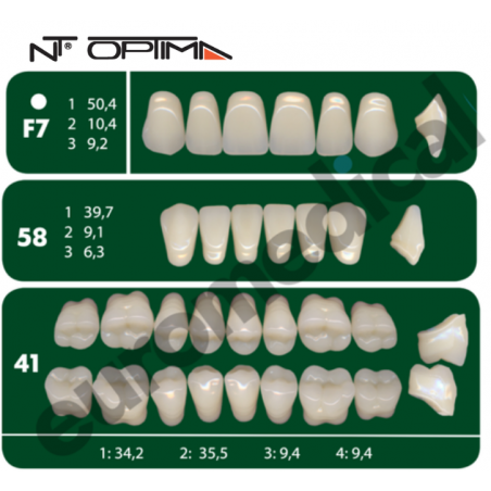 DENTI NT Optima "F7" 3 STRATI (bocca completa)