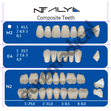 DENTI NT ALYA "M2" in composito (bocca completa)