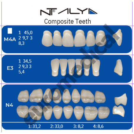 DENTI NT ALYA "M4A" in composito (bocca completa)