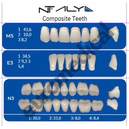 DENTI NT ALYA "M5" in composito (bocca completa)