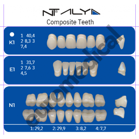 DENTI NT ALYA "K1" in composito (bocca completa)