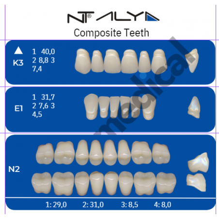 DENTI NT ALYA "K3" in composito (bocca completa)