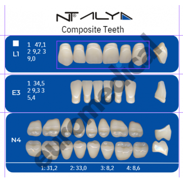 DENTI NT ALYA "L1" in...