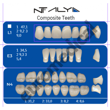 DENTI NT ALYA "L1" in composito (bocca completa)
