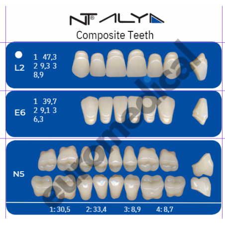DENTI NT ALYA "L2" in composito (bocca completa)