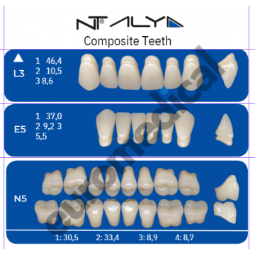 DENTI NT ALYA "L3" in...