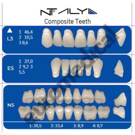 DENTI NT ALYA "L3" in composito (bocca completa)