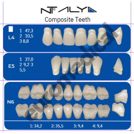 DENTI NT ALYA "L4" in composito (bocca completa)
