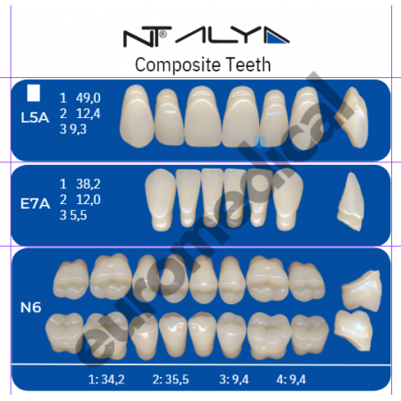 DENTI NT ALYA "L5A" in composito (bocca completa)