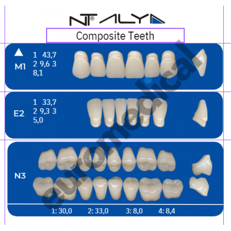 DENTI NT ALYA "M1" in composito (bocca completa)