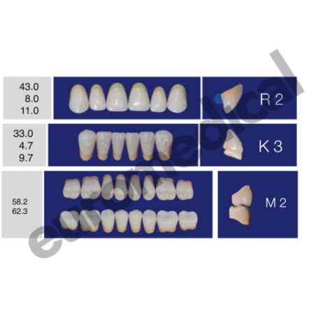 DENTI ERAY DELUXE "R2" 3 STRATI (bocca completa)