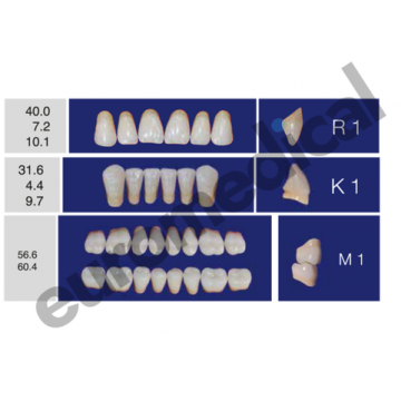 DENTI ERAY DELUXE "R1" 3...